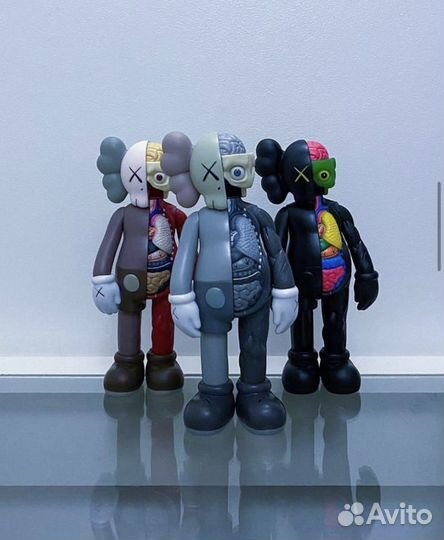 Kaws Anatomy