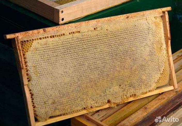 Мед в сотах на рамке