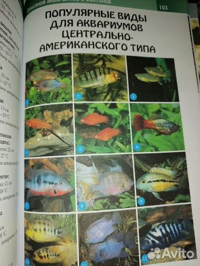 Книги по аквариумистике