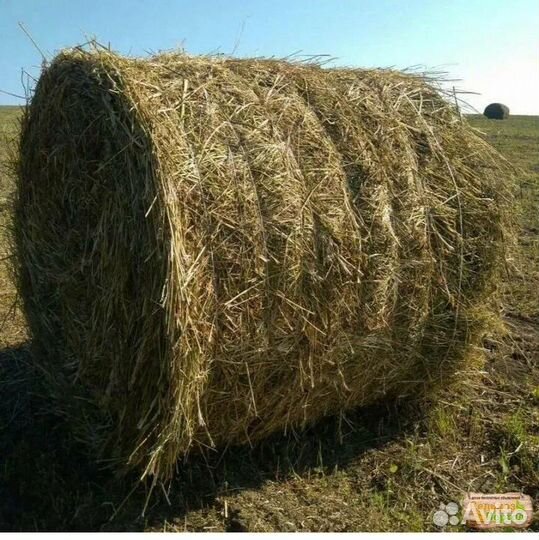 Сено