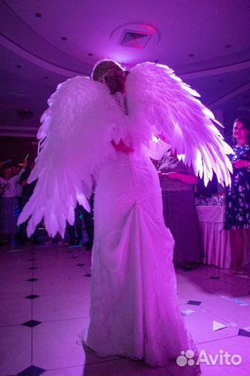 Крылья ангела аренда