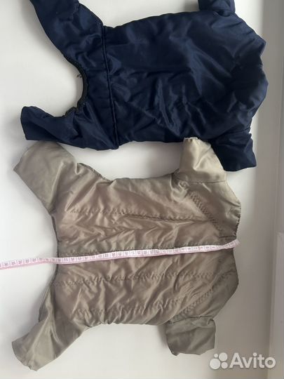 Одежда для собак