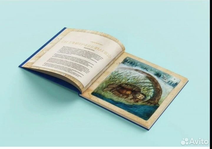 Книга Камчатка