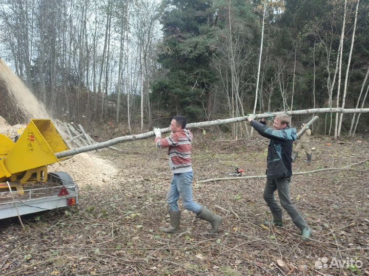 Вырубка участков, измельчение деревьев до 150 мм