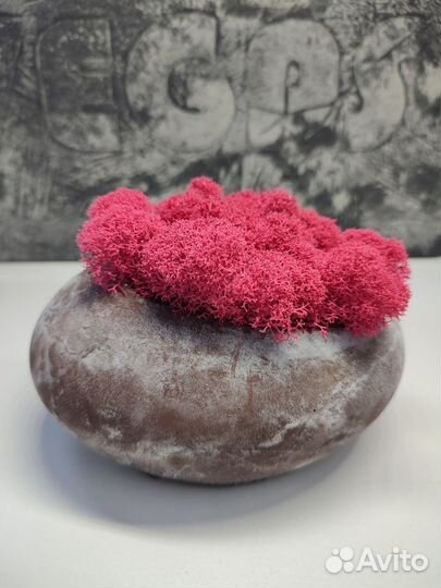 Бетонное кашпо