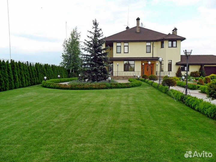 Газон рулонный, Автополив, Аэрация и Скарификация