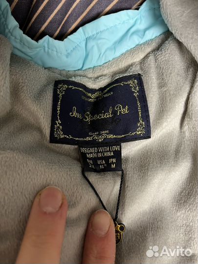 Одежда для собак