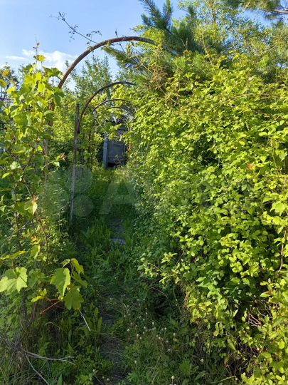 Участок 8,5 сот. (СНТ, ДНП)