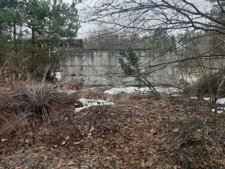 Участок 12 сот. (СНТ, ДНП)