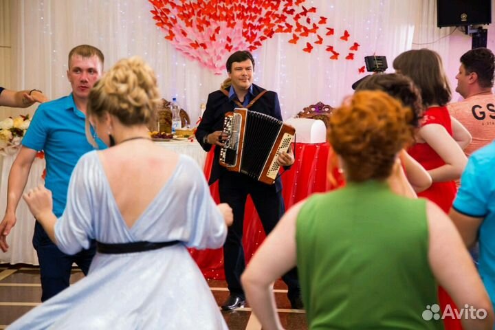 Баянист Гармонист На ваше торжество