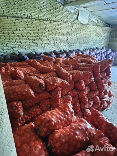 Сорт Эйфория