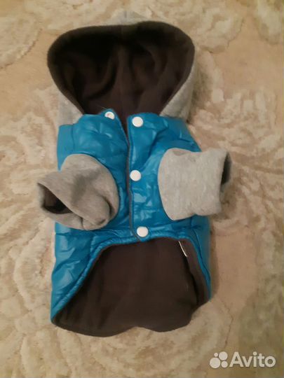 Одежда для маленьких собак