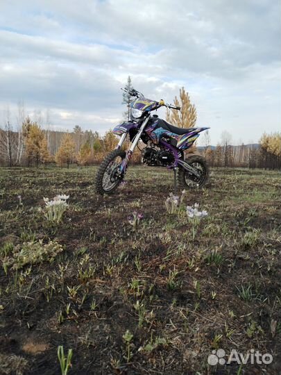 Bse mx 125 2023
