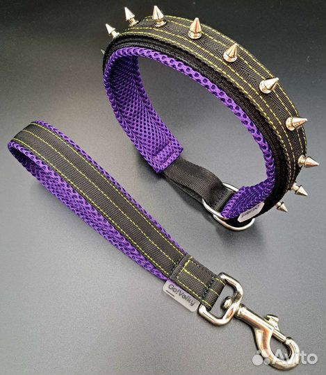 Амуниция для собак (шлейка, поводок, ошейник)