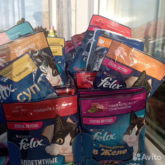 Корм жидкий сухой