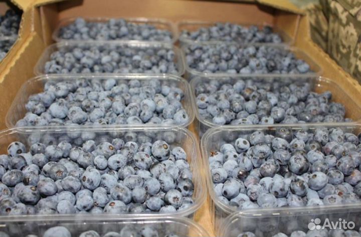 Пинетки (корексы, лукошки) 250г пищевые под ягоду