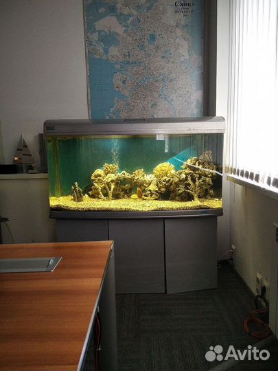 Обслуживание аквариумов