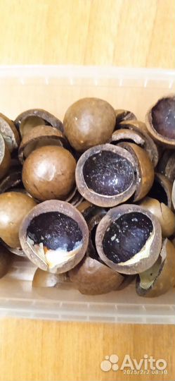 Скорлупа для творчества