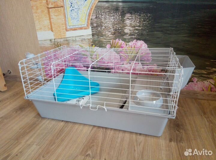 Клетка 80/50см для кролика, новая