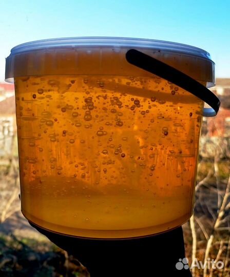 Лавандовый мёд