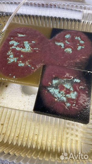 Культура живых кормов для аквариумных рыбок