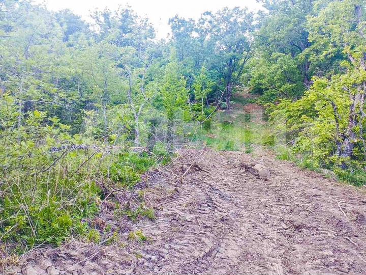 Участок 8 сот. (ИЖС)