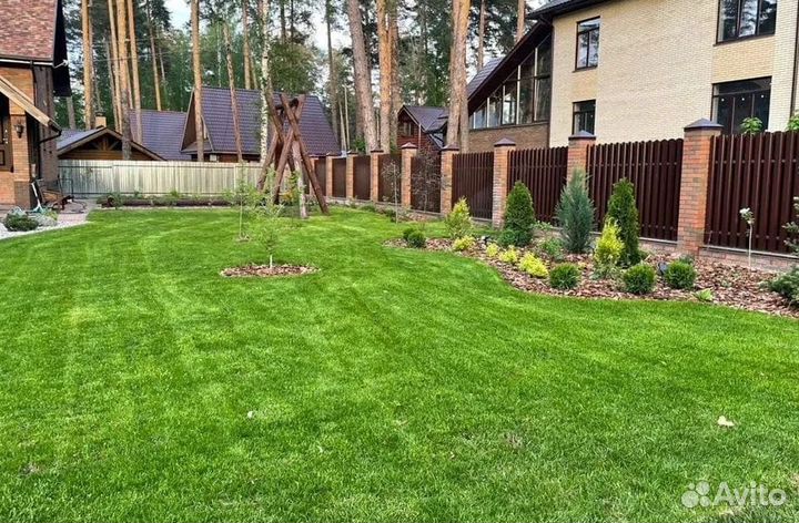 Рулонный газон с укладкой