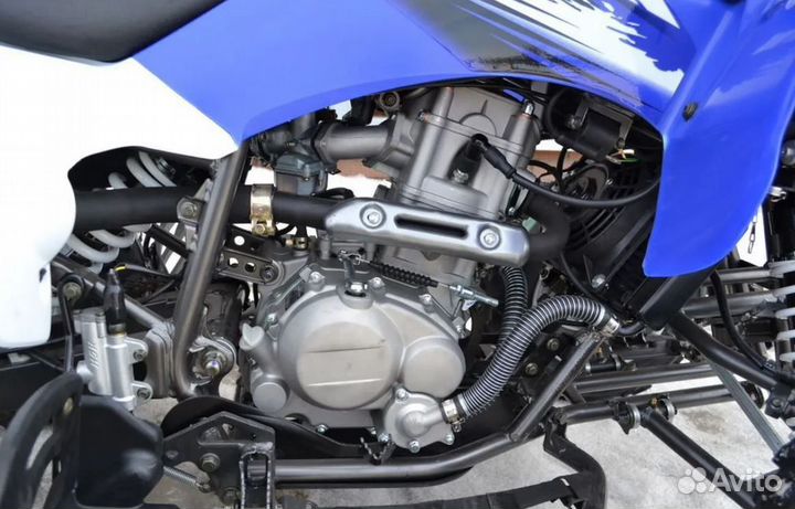 Квадроцикл Motoland ATV 250 S синий