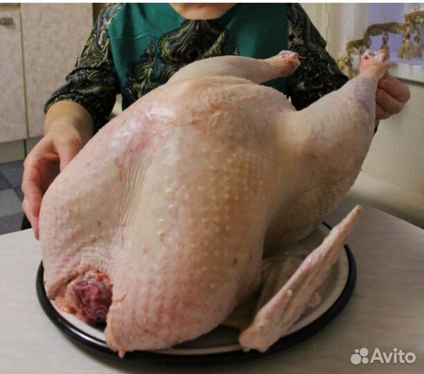 Тушка индейки