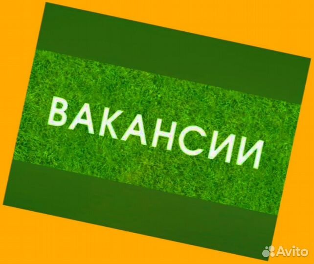 Комплектовщик Спецодежда Еженедельный аванс М/Ж