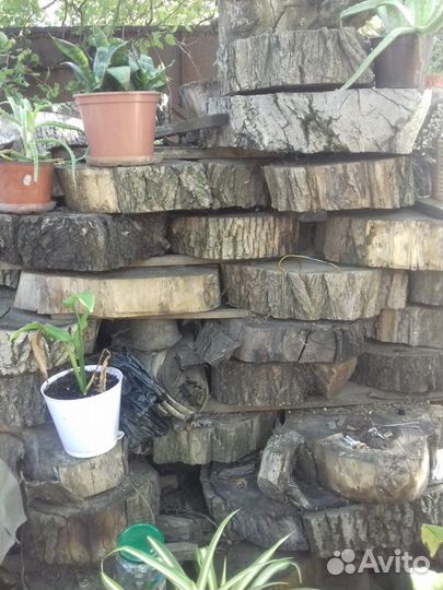 Срезы,спилы сухие.Слэбы,доска необрезная