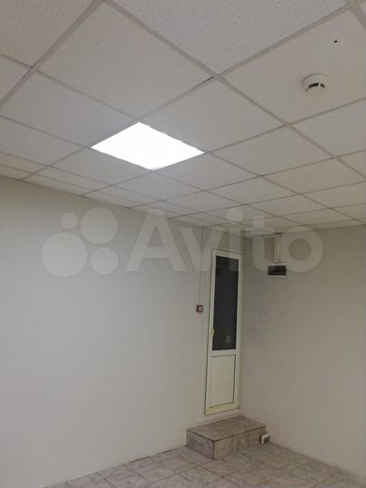 Свободного назначения, 54.5 м²