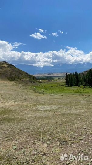 Трансфер Алтай. Экскурсии Алтай