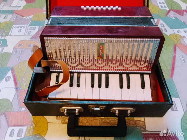 Аккордеон детский как малыш