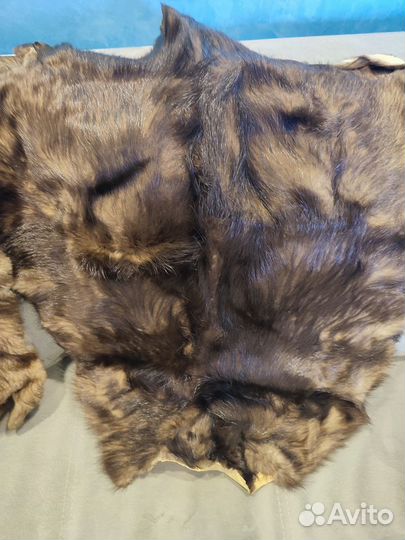 Бобриные шкурки