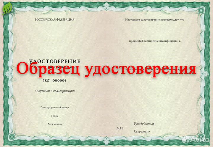 Обучение по безопасности дорожного движения (бдд)