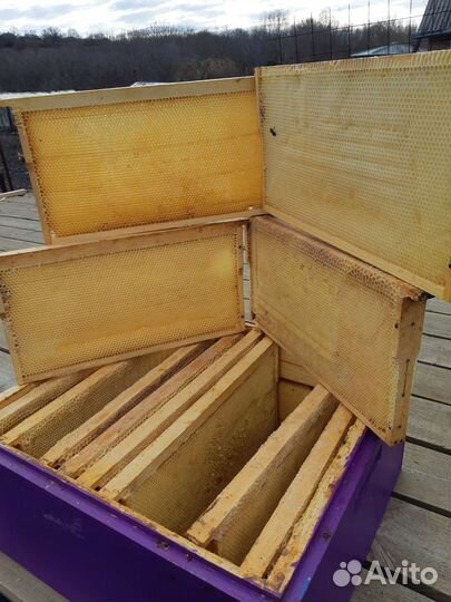 Сушь для пчел