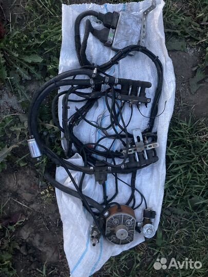 Эбу мозги газ