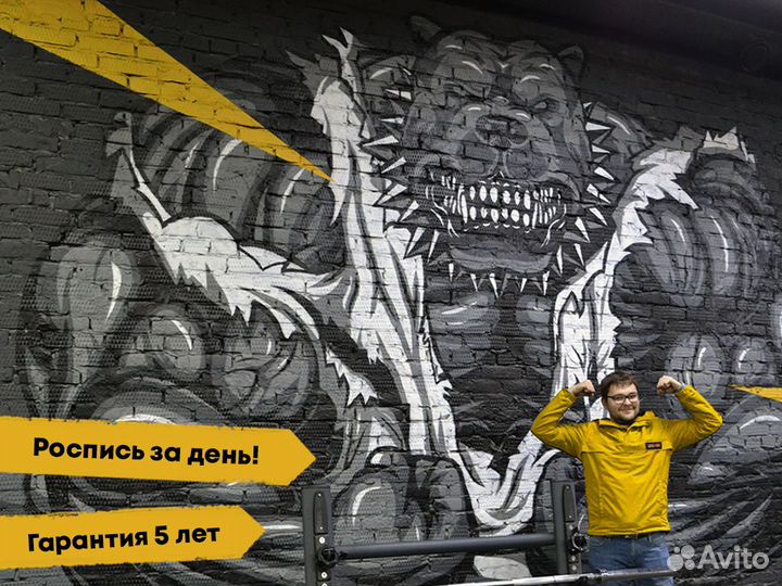 Роспись стен Ростов. Граффити. Художник по росписи