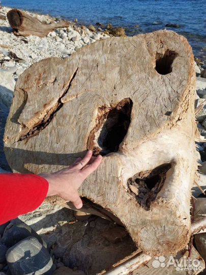 Крупный дрифтвуд. Брёвна, коряги, пни. Под заказ