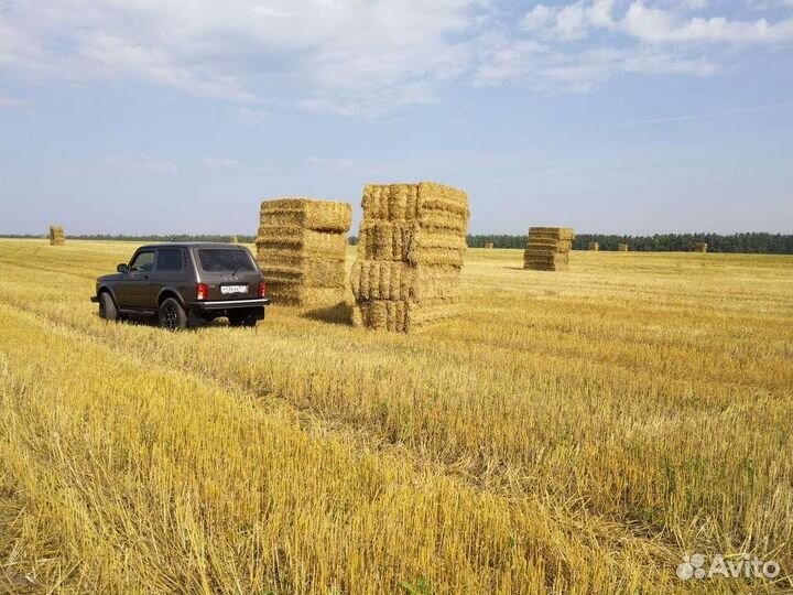 LADA 4x4 (Нива) 1.7 МТ, 2022, 4 216 км
