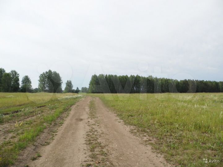Участок 3,7 га (СНТ, ДНП)