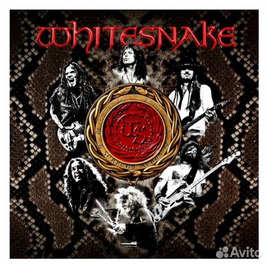 Футболка с Концерта Группы Whitestone