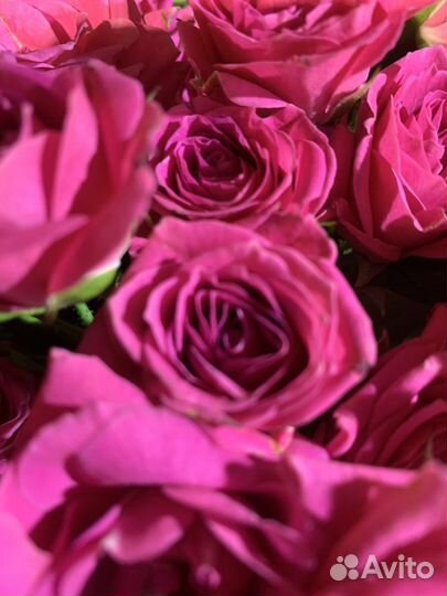 Букет кустовых роз