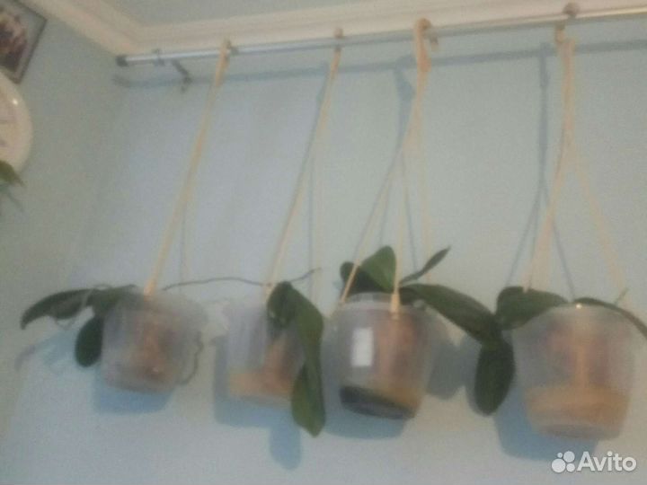 Подвес для кашпо цена за все
