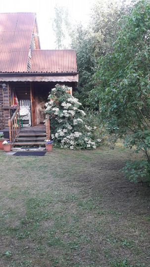 Дом 48 м² на участке 12 сот.