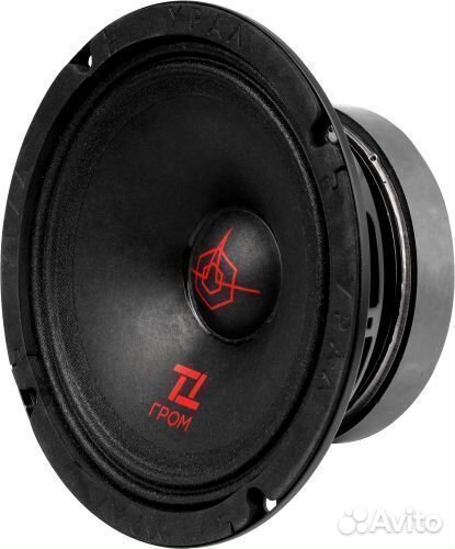 Акустика эстрадная Ural Урал TT 165 гром