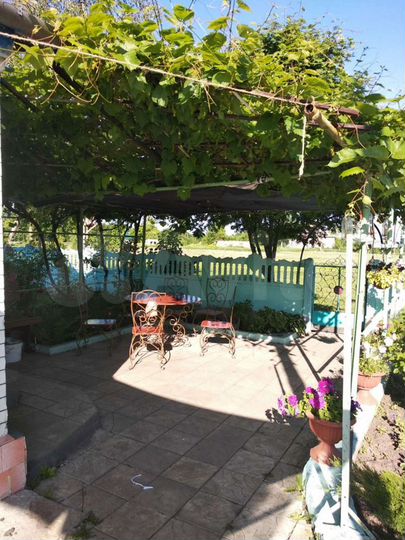 Дом 50 м² на участке 46 сот.