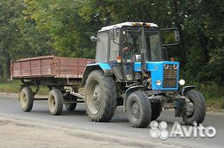 Спил деревьев, вывоз мусора