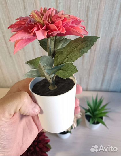 Цветы IKEA искусственные 5 шт